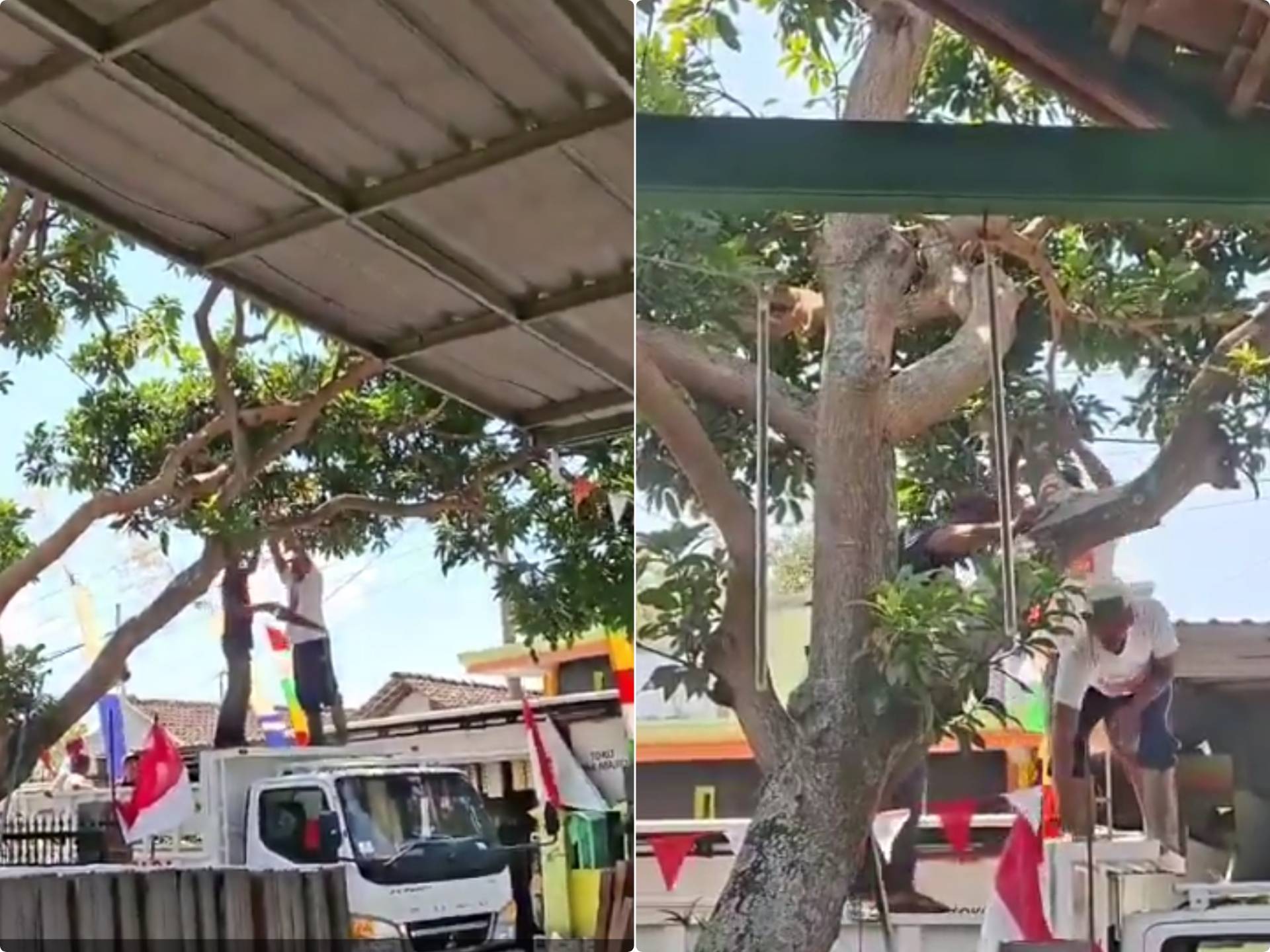 Demi Sound Horeg Sehari, Pohon Mangga Dipangkas Habis dan Warga Dipaksa Lakban Jendela Rumah