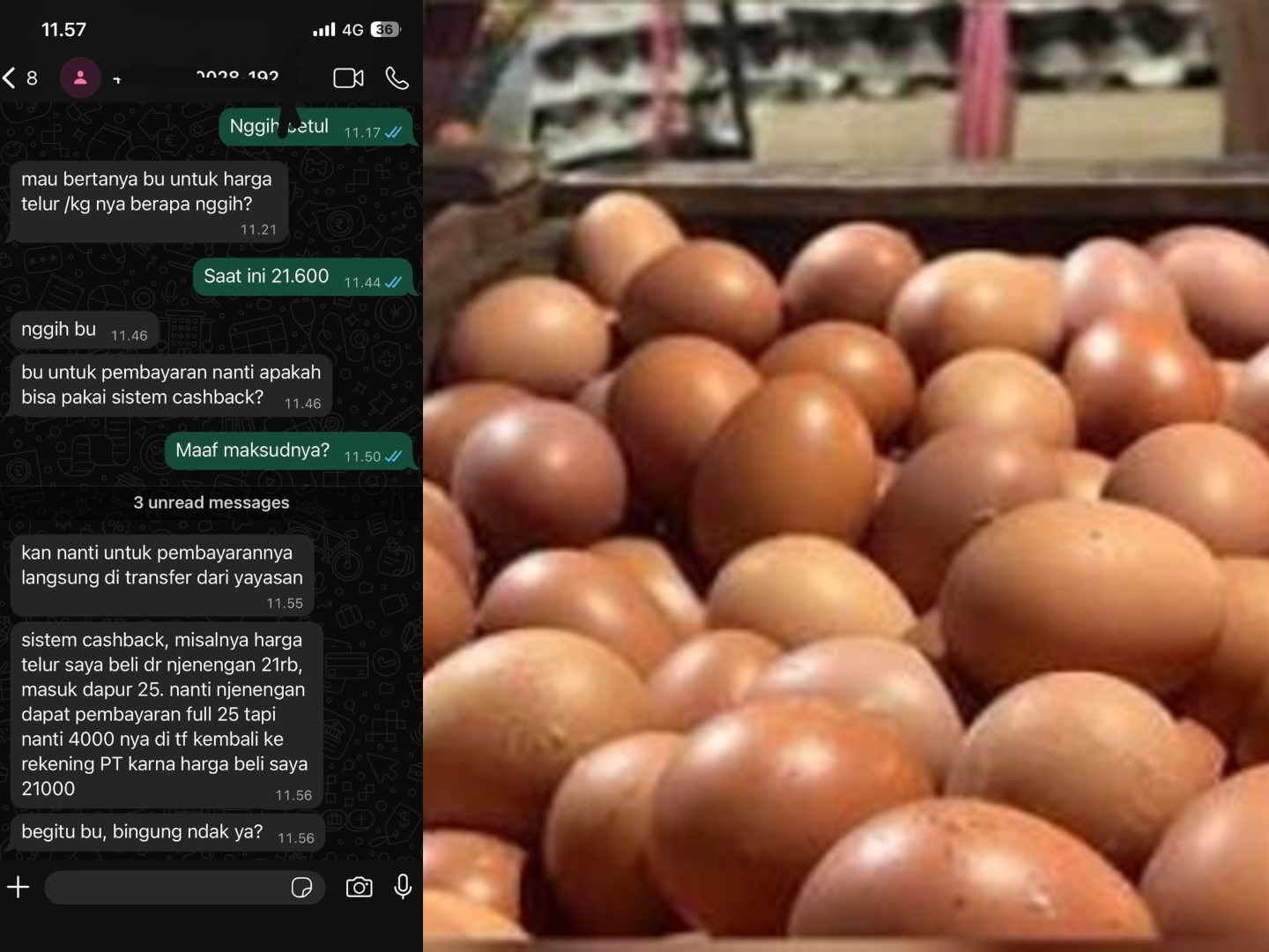 Pakan Mahal Tapi Telur Dinego Cashback? Peternak Sukoharjo Curhat Dugaan Permainan Harga Program MBG