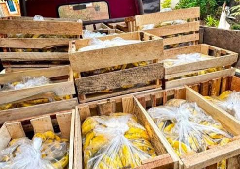 Pisang Pesanan MBG Batal Mendadak, Pedagang Cek Dapur Malah Masih Beroperasi