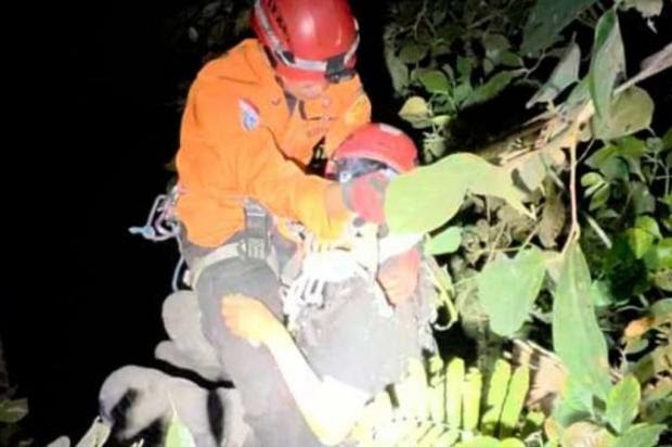 Pemuda di Yogyakarta Jatuh ke Jurang 40 Meter Usai Susuri Hutan Curug Lawe demi Dokumentasikan Reptil