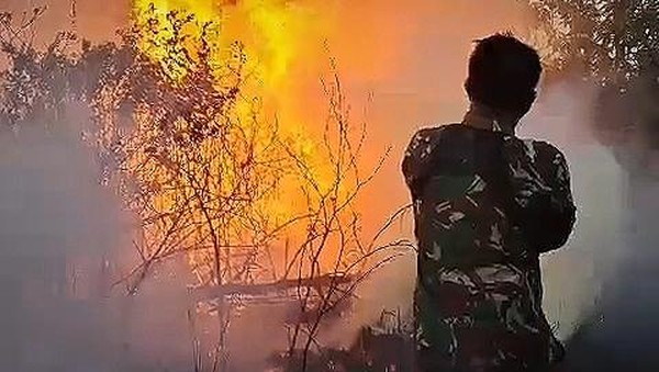 Geger! Taman Nasional Way Kambas Terbakar Sejak Jumat, Pemadaman Masih Berlangsung