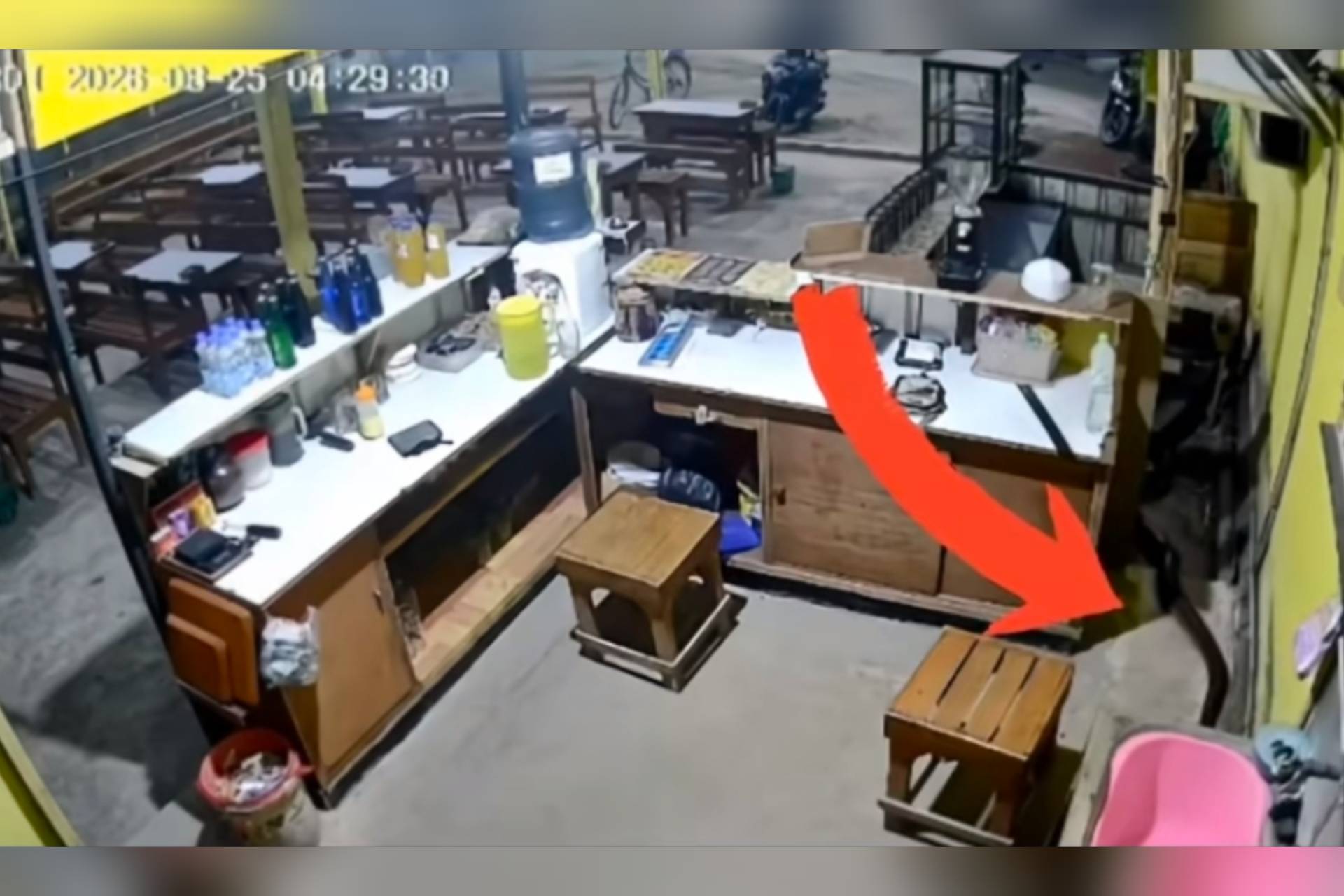 Ngeri! Ular Piton 5 Meter Masuk Warkop 24 Jam di Pasuruan, Terekam CCTV Nyelonong ke Kasir