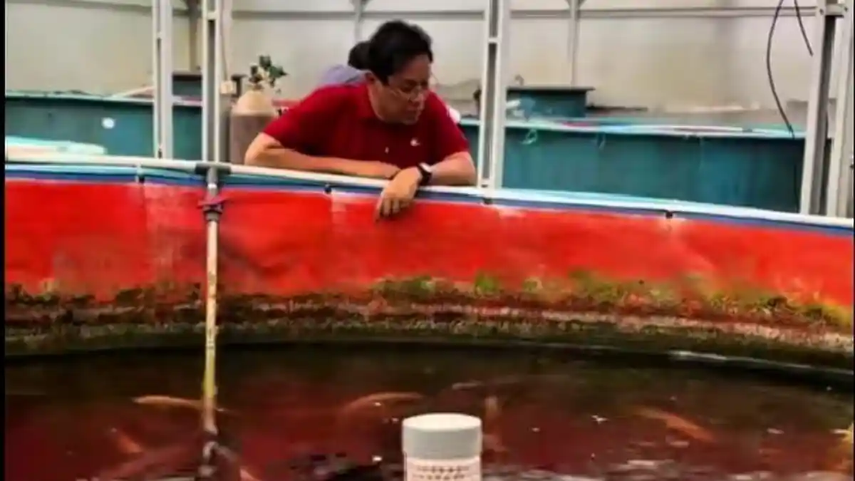 Habis Dipecat Prabowo, Purbaya Tampil Santai, Kasih Makan Ikan dan Ajak Mancing