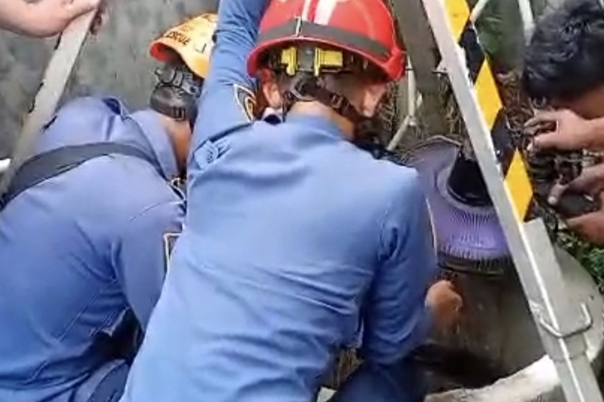 Tercebur ke Sumur Sedalam 12 Meter Saat Perbaiki Paralon, Wanita di Bogor Dievakuasi Damkar