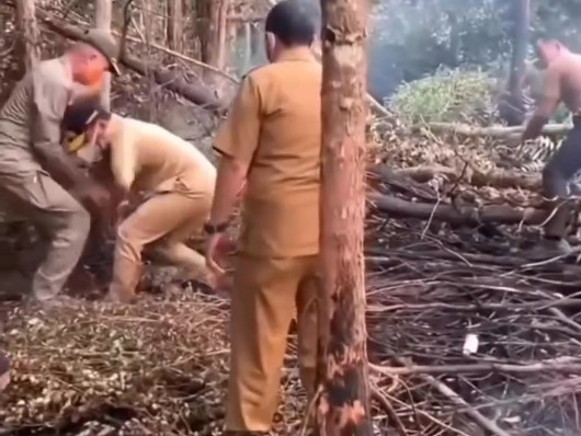 Nyaris Nyungsep! Gubernur Kalteng Agustiar Sabran Terpeleset Saat Tinjau Karhutla