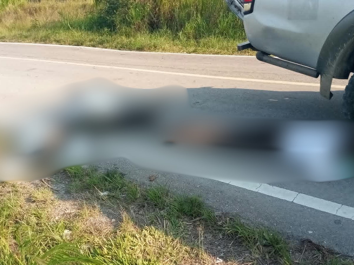 3 ASN Dinas Pertanian Jayawijaya Tewas Ditembak KKB, Identitas Korban Terungkap