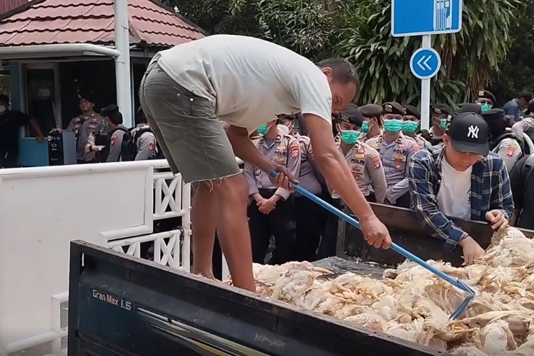 Pemadaman Listrik Tak Kunjung Beres, Ribuan Bangkai Ayam Dilempar ke Kantor PLN Palangka Raya
