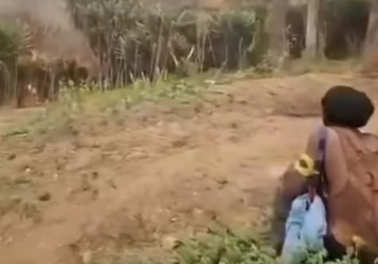 Karhutla Meluas di Papua, Lebih dari 30 Ribu Hektare Hutan dan Lahan Terdampak