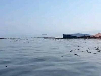 Kapal Berbendera Singapura Tenggelam di Selat Hormuz, Ratusan Kontainer Mengapung di Laut