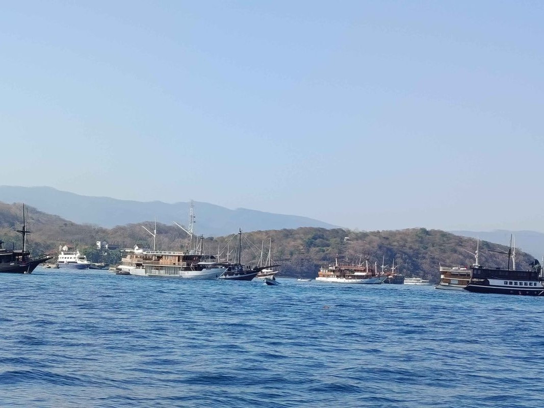 Labuan Bajo Diguncang Gempa Berturut-turut Sore Ini, BMKG Catat 3 Kali Guncangan di Laut Utara