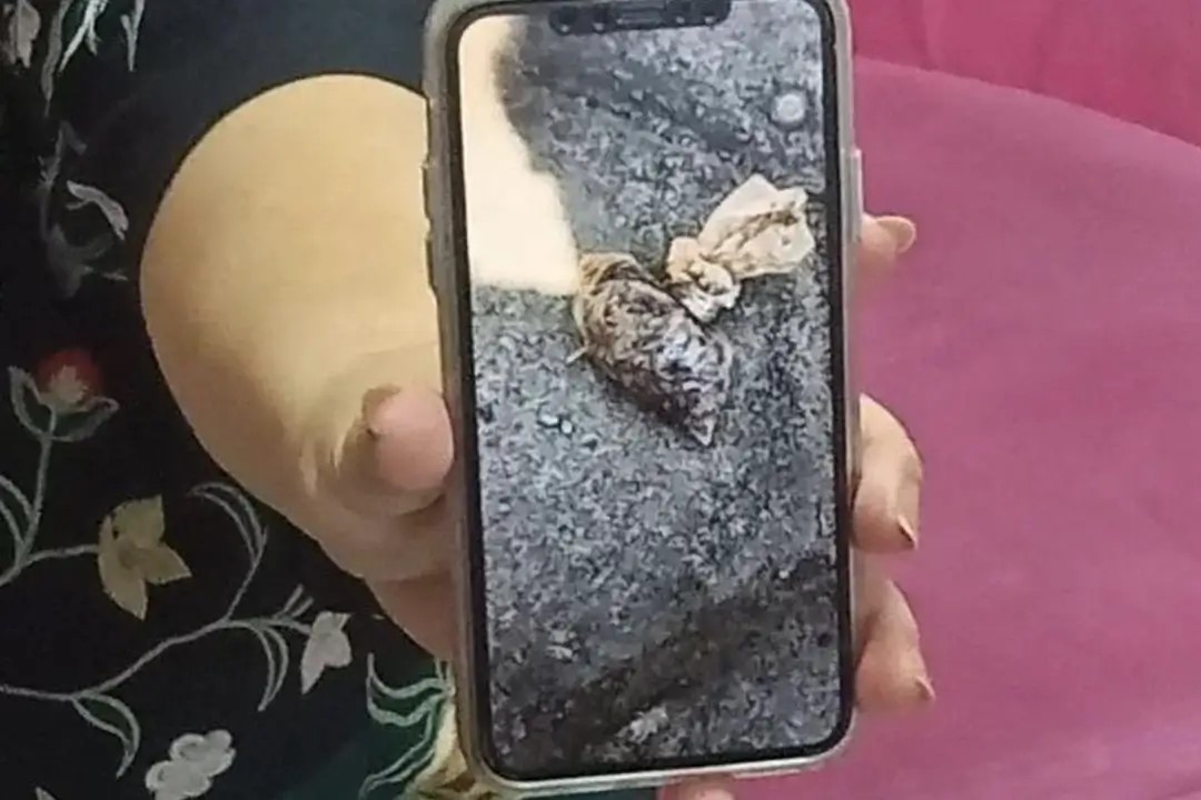 Warung Makan Nunung di Solo Mendadak Sepi, Kerap Ditemukan Tanah Kuburan hingga Bungkusan Misterius