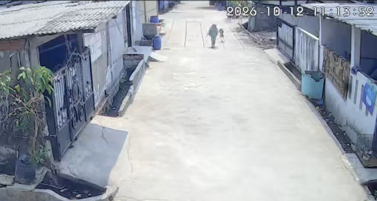 Bocah 6 Tahun di Bekasi Diserang Monyet Liar, Wajah Alami Luka Serius