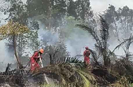 Selebritas Indonesia Merasa Malu, Kabut Asap Karhutla Ganggu Aktivitas di Negara Tetangga