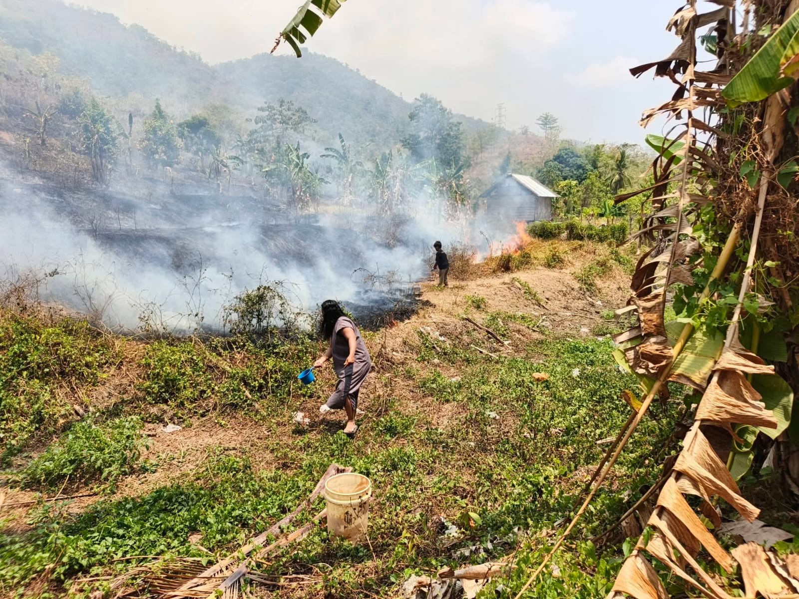 Karhutla di Mamasa Merembet ke Permukiman, Gereja dan Rumah Warga Nyaris Terbakar