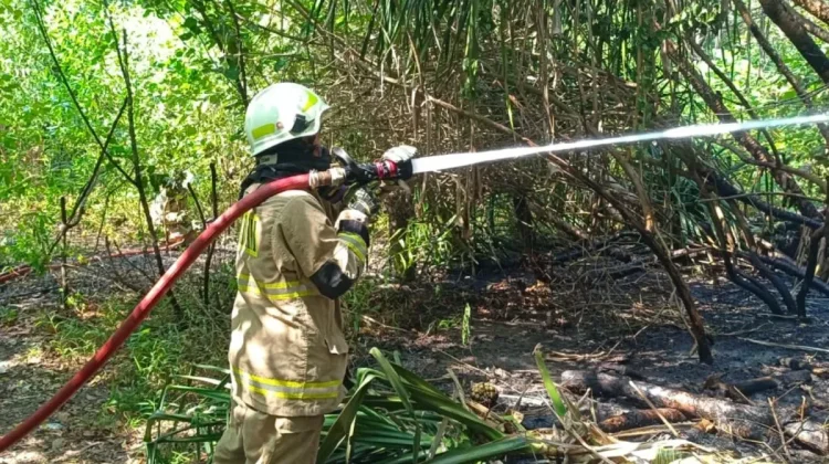 Lahan di Pulau Tidung Terbakar, Diduga Dipicu Puntung Rokok